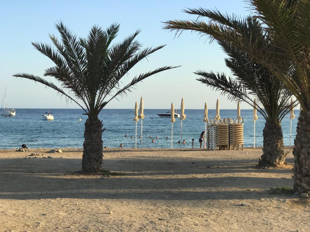 Homely Apartments Playa De Los Locos トレビエハ エクステリア 写真