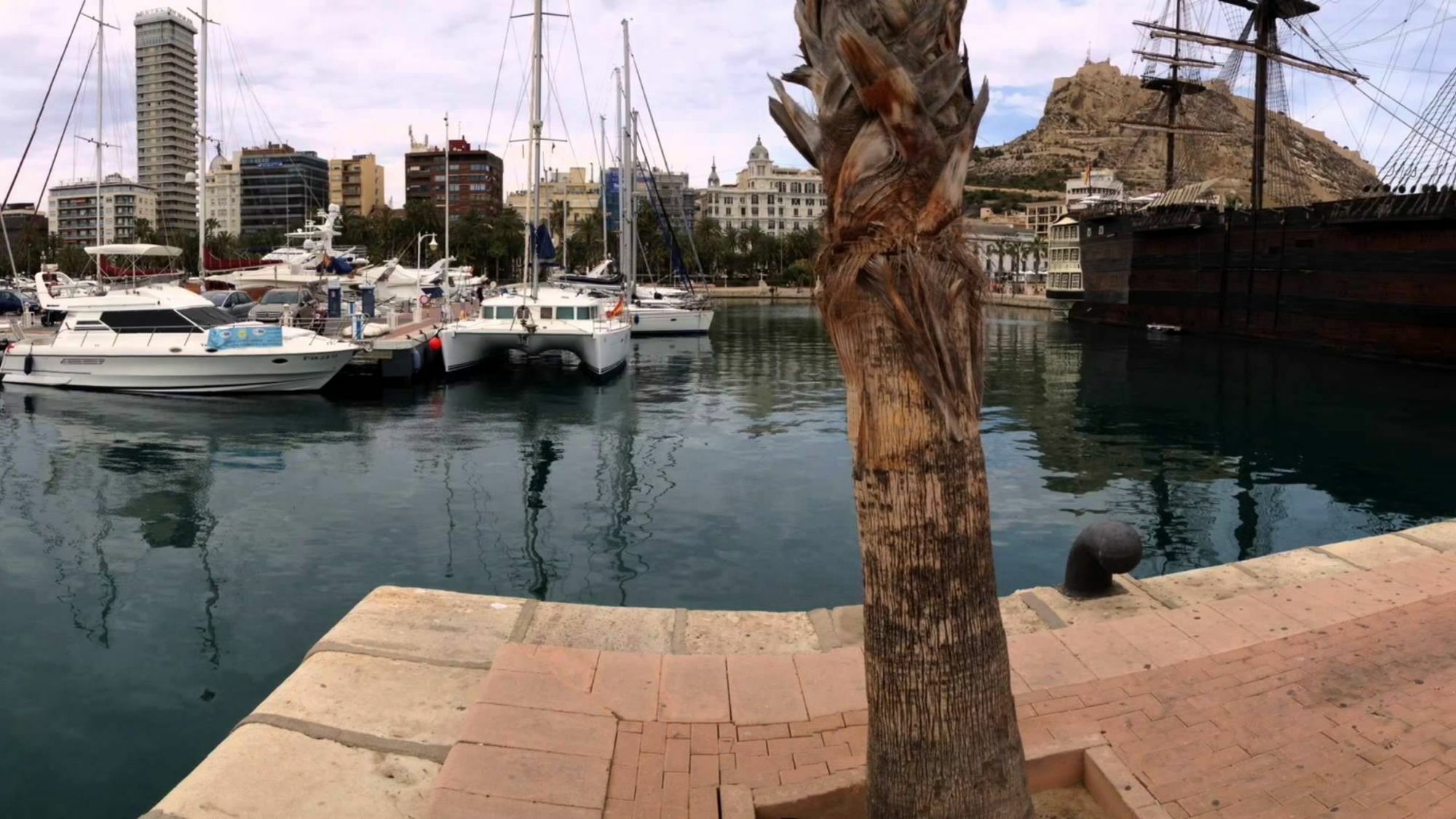 Homely Apartments Playa De Los Locos トレビエハ エクステリア 写真